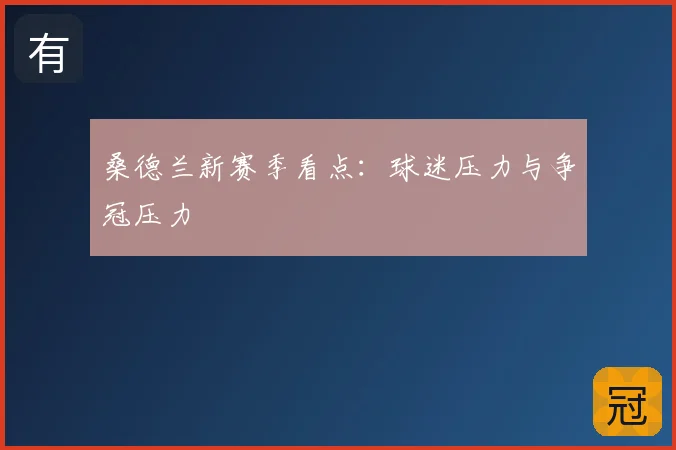 桑德兰新赛季看点：球迷压力与争冠压力